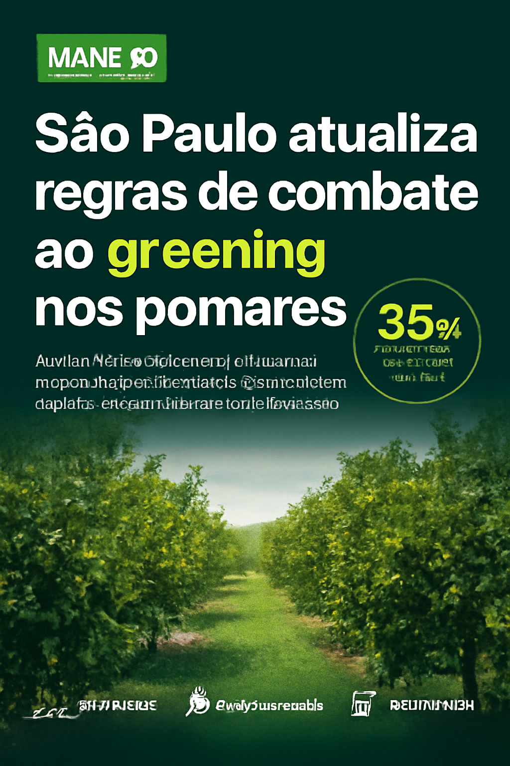São Paulo atualiza regras de combate ao greening nos pomares