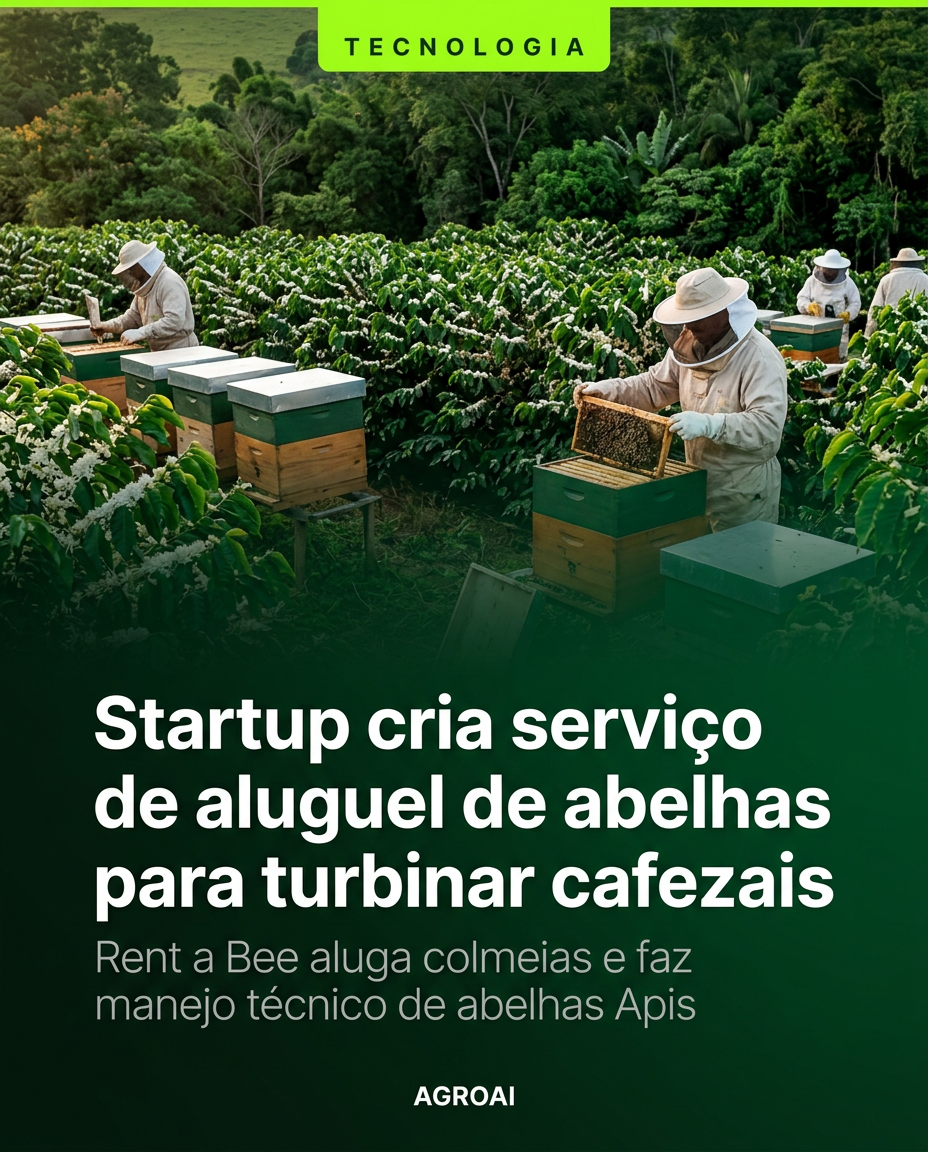 Startup cria serviço de aluguel de abelhas para turbinar cafezais