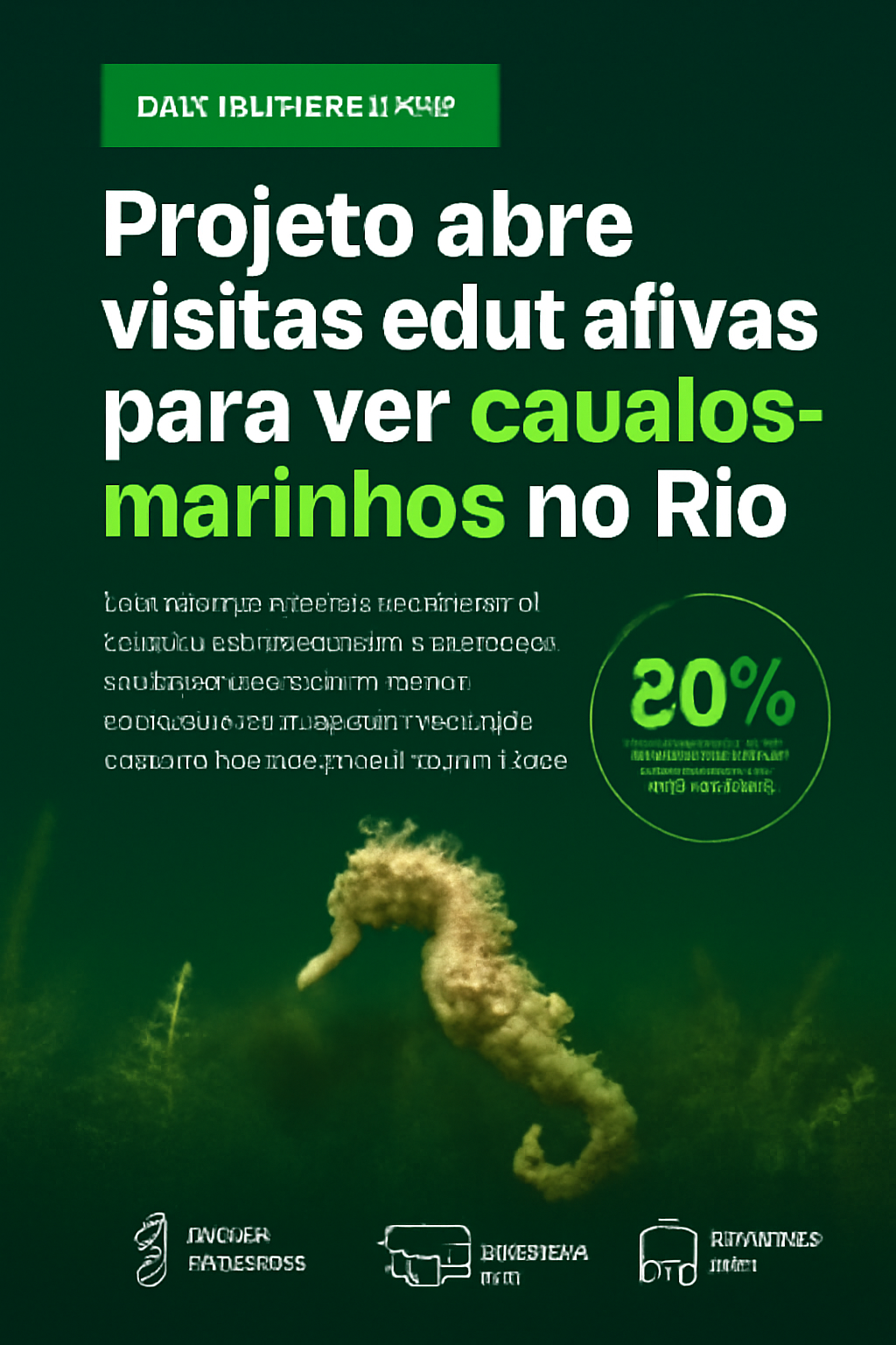 Projeto abre visitas educativas para ver cavalos-marinhos no Rio