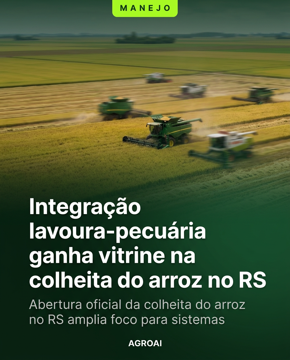 Integração lavoura-pecuária ganha vitrine na colheita do arroz no RS