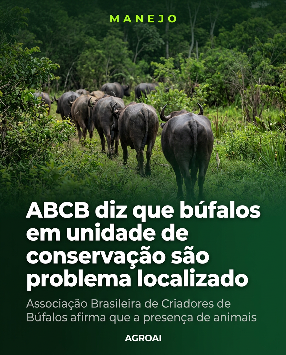 ABCB diz que búfalos em unidade de conservação são problema localizado